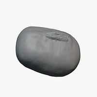 Mung Bean - For 3D Print