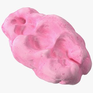 Pink Chewed Bubble Gum with Teeth Marks 3D