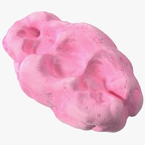 Pink Chewed Bubble Gum with Teeth Marks