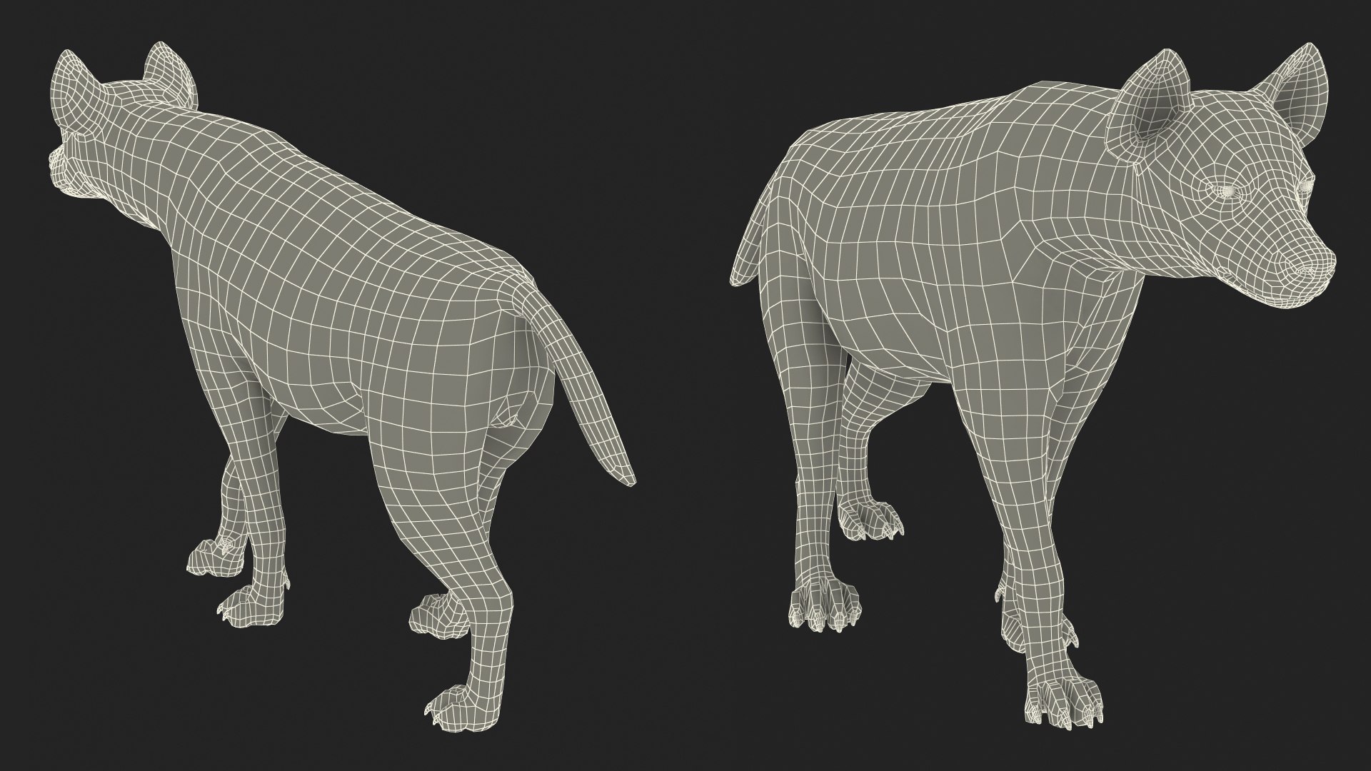 3D Hyena Walking Pose Fur model https://p.turbosquid.com/ts-thumb/D9/RLNgJG/86/hyenawalkingposefurc4dmodel022/jpg/1617398496/1920x1080/fit_q87/f38abdbe92638aed709db53810220bc3c357849f/hyenawalkingposefurc4dmodel022.jpg