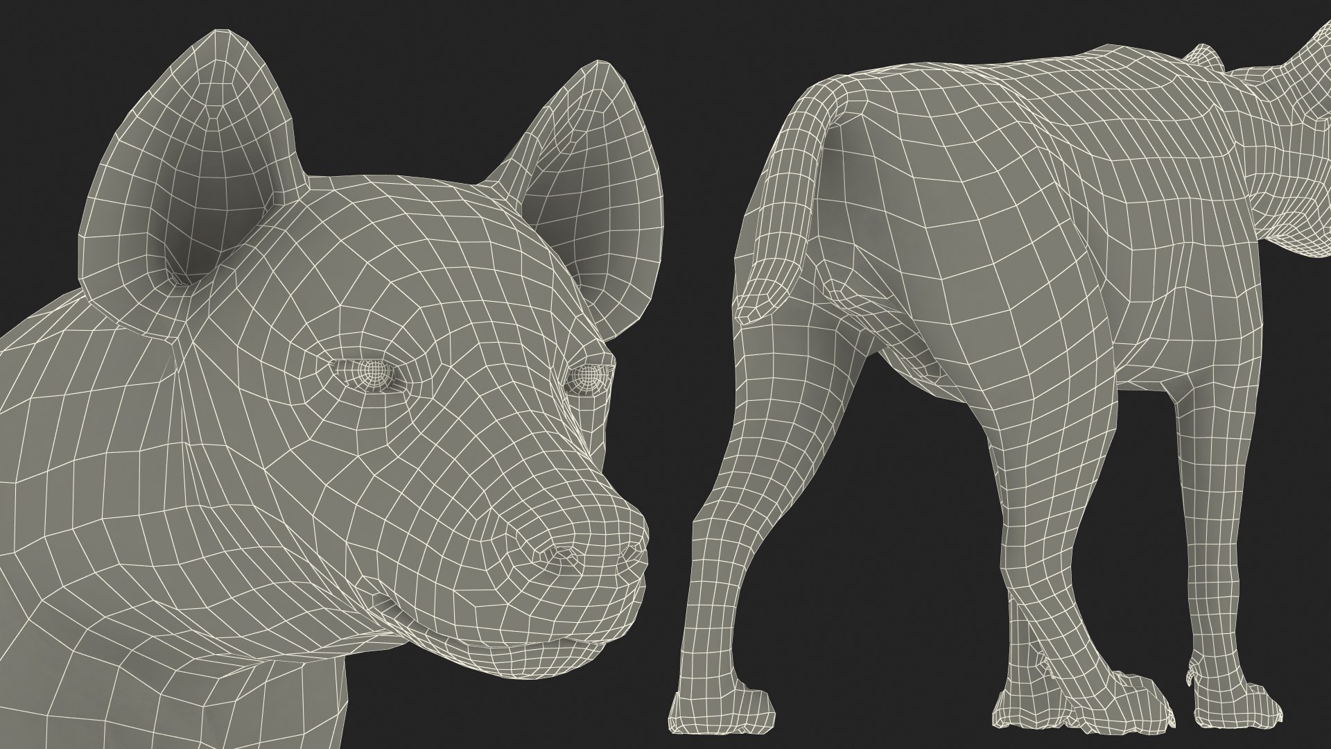 3D Hyena Walking Pose Fur model https://p.turbosquid.com/ts-thumb/D9/RLNgJG/Q5/hyenawalkingposefurc4dmodel023/jpg/1617398502/1920x1080/fit_q87/ffd9c35082b75d13cdbdc9fd0a99b097d838265f/hyenawalkingposefurc4dmodel023.jpg