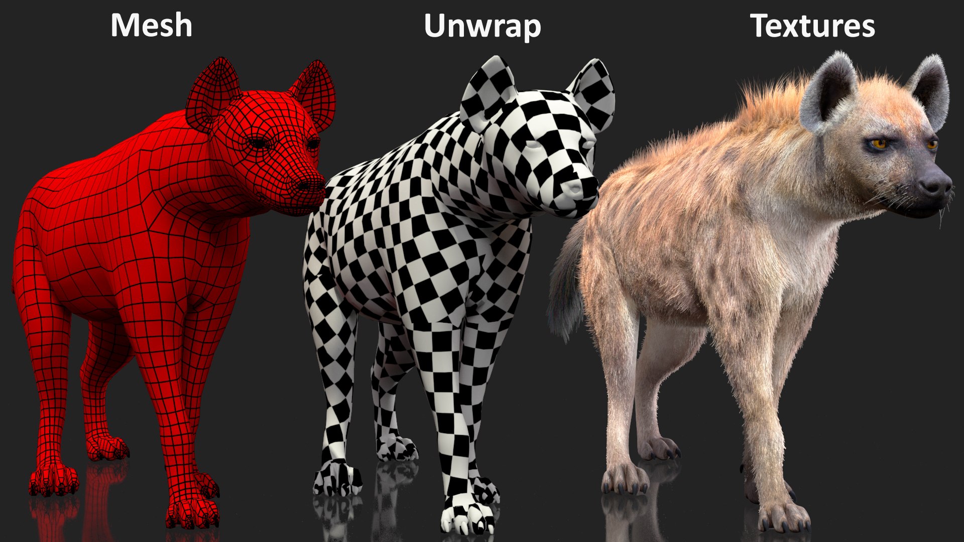 3D Hyena Walking Pose Fur model https://p.turbosquid.com/ts-thumb/D9/RLNgJG/x2/hyenawalkingposefurc4dmodel018/jpg/1617398470/1920x1080/fit_q87/866040375aec4a93a72b87ace037e91d001d7f76/hyenawalkingposefurc4dmodel018.jpg
