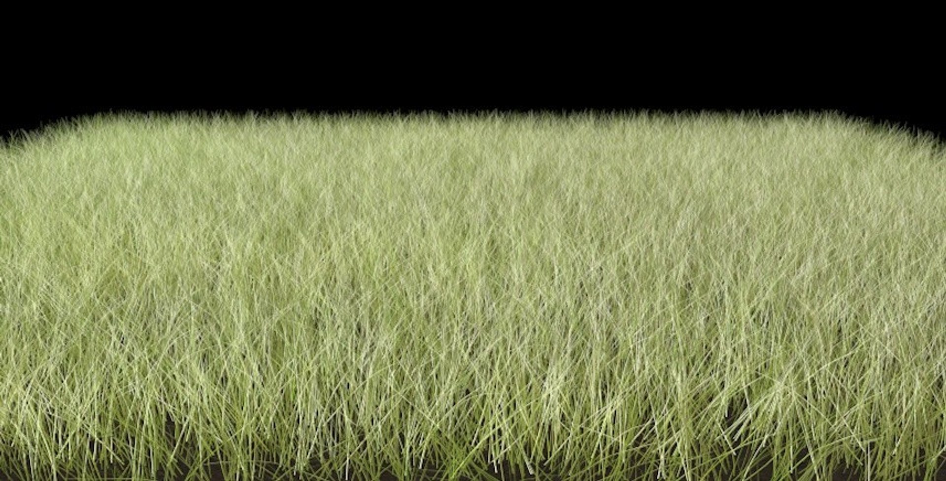 dynamic grasses 3d model https://p.turbosquid.com/ts-thumb/D9/S4JyS8/YFBlNLGb/grass_pack_1.jpg5e1fd7e6689c4e25ae3b80d63ece2bc7original/jpg/1490783427/1920x1080/fit_q87/018d7958f4735460539ba10964800a20672f1ab9/grass_pack_1.jpg5e1fd7e6689c4e25ae3b80d63ece2bc7original.jpg