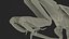 3D Realistic Praying Mantis