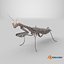 3D Realistic Praying Mantis