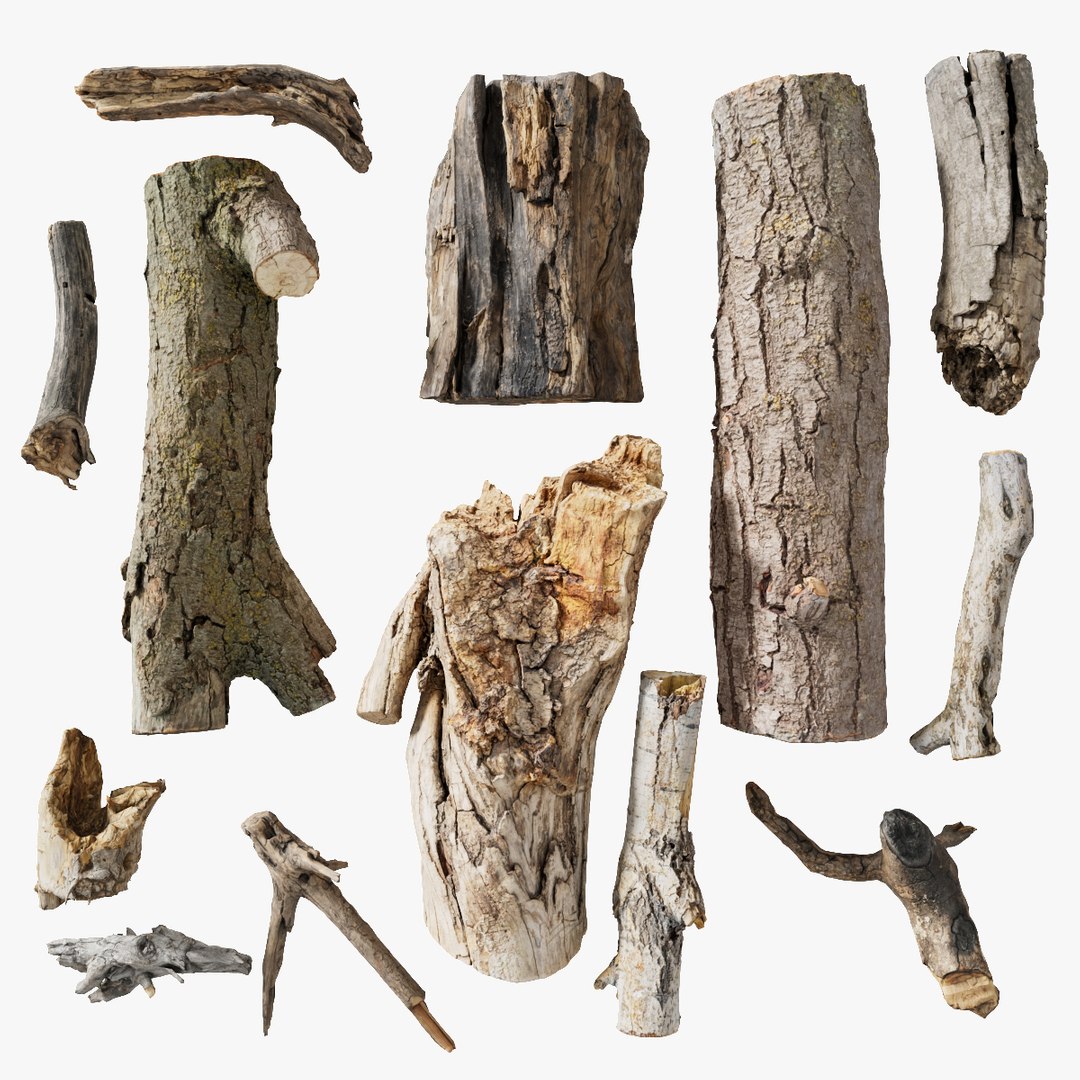 Branch and Bark  scanned collection StemCell 3D model https://p.turbosquid.com/ts-thumb/D9/Yh1lOU/O4/collection_sig/jpg/1726497781/1920x1080/fit_q87/21a0ff157a34cabecd18b585f310e864c6771204/collection_sig.jpg