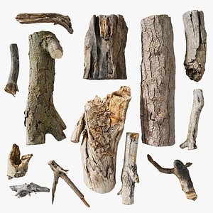 Branch and Bark scanned collection StemCell