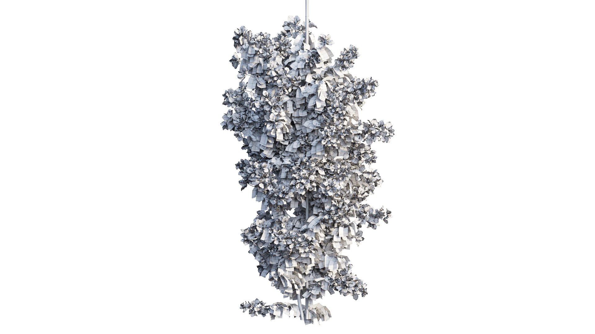 Bougainvillea plant set 49 3D model https://p.turbosquid.com/ts-thumb/D9/cEmrAe/Fp/3_interactivelightmix/png/1667512847/1920x1080/fit_q87/2cdb7656593dbbfb5e7fc53b8bb4aa4207ccf454/3_interactivelightmix.jpg
