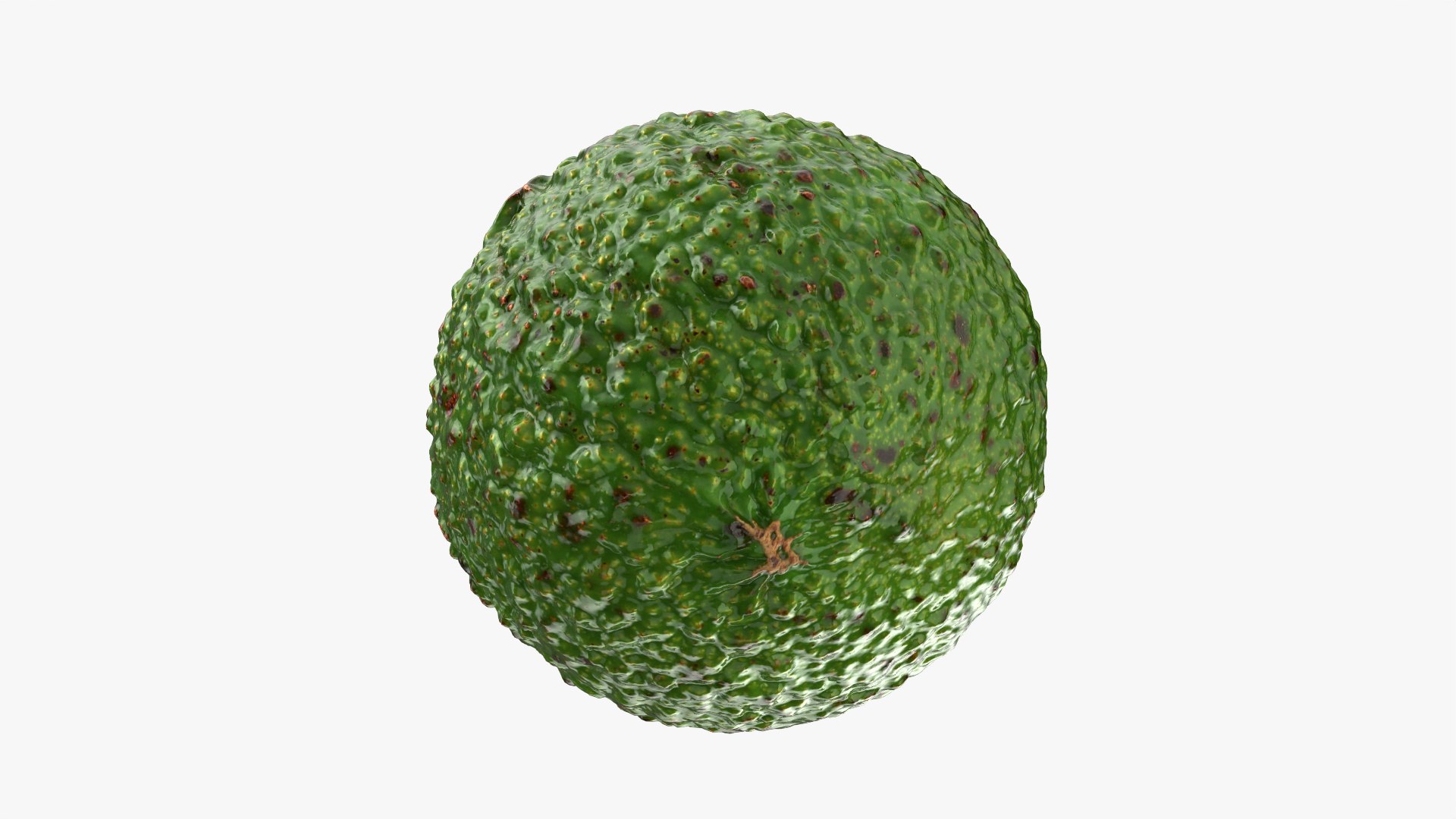 3D Whole Avocado 01 model https://p.turbosquid.com/ts-thumb/D9/cSfmhs/5R/avocadowhole01_0005/png/1760498952/1920x1080/fit_q87/bb9ac8c51722b17b0e9a8659bd28ca319af2c377/avocadowhole01_0005.jpg
