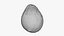 Avocat entier 01