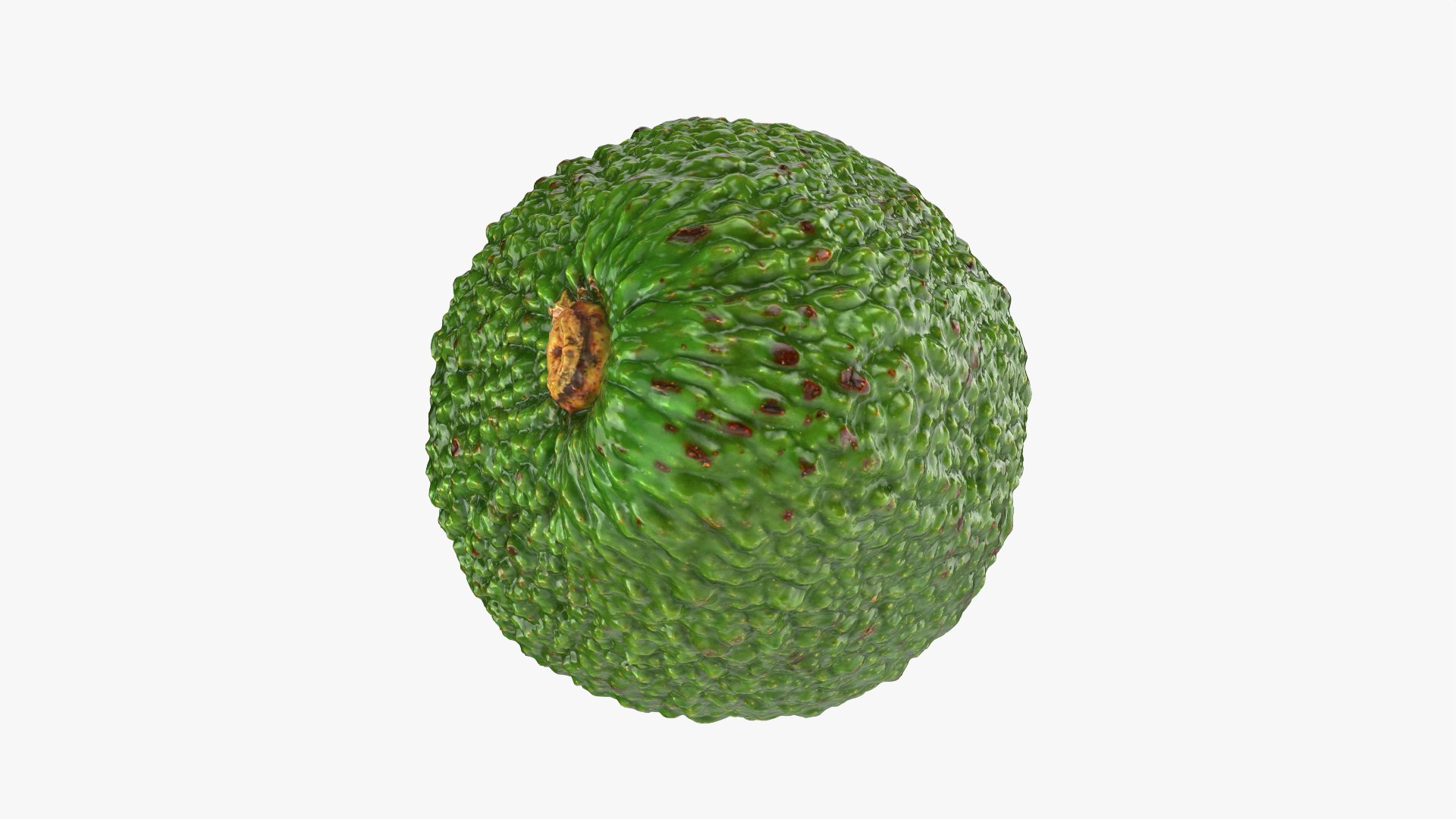 3D Whole Avocado 01 model https://p.turbosquid.com/ts-thumb/D9/cSfmhs/su/avocadowhole01_0006/png/1760498952/1920x1080/fit_q87/632373b3481b8c88e957b07681e74424cd8d8869/avocadowhole01_0006.jpg