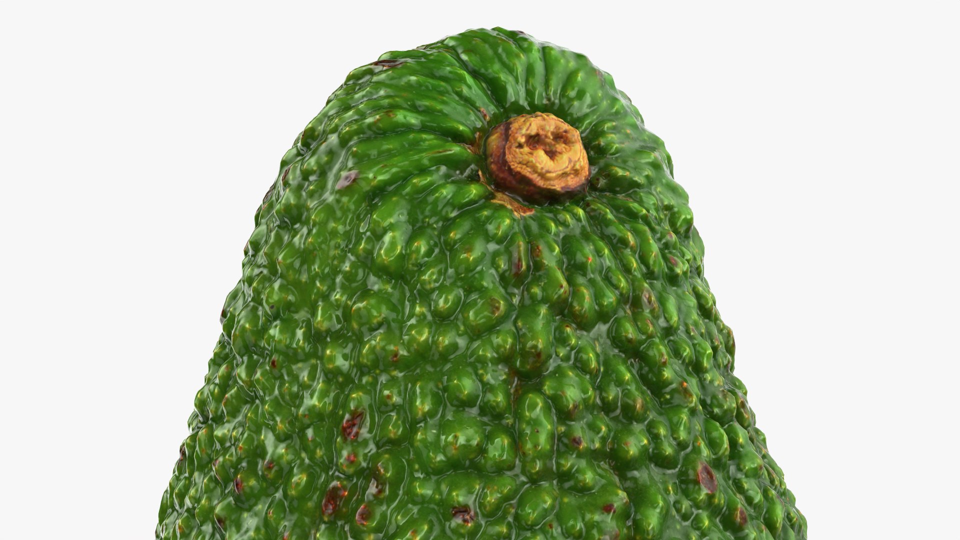 3D Whole Avocado 01 model https://p.turbosquid.com/ts-thumb/D9/cSfmhs/yT/avocadowhole01_0012/png/1760498963/1920x1080/fit_q87/36e4879006245809c8736dd85278beb8c756a2af/avocadowhole01_0012.jpg