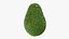 Avocat entier 01