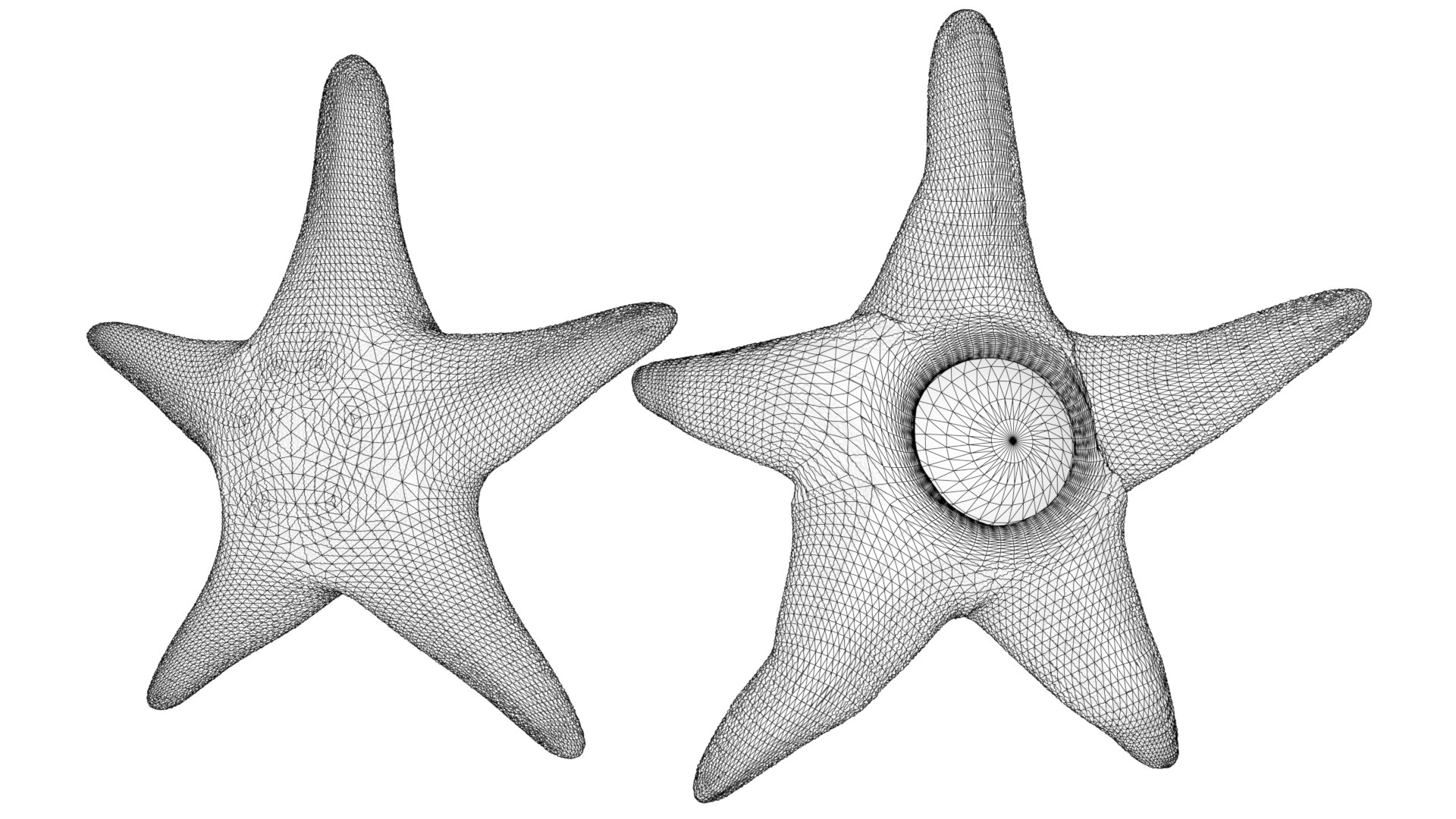 3D Starro https://p.turbosquid.com/ts-thumb/D9/qpJnBo/cR/2/png/1788455015/1920x1080/fit_q87/b83748de86ce1acd72deb6f6d37f4b4a193531df/2.jpg