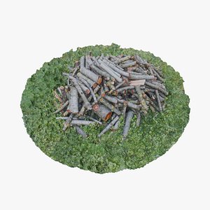 3D Small 3D Pile of wood fire chips model