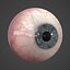 3d model human eye realistic