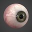 3d model human eye realistic