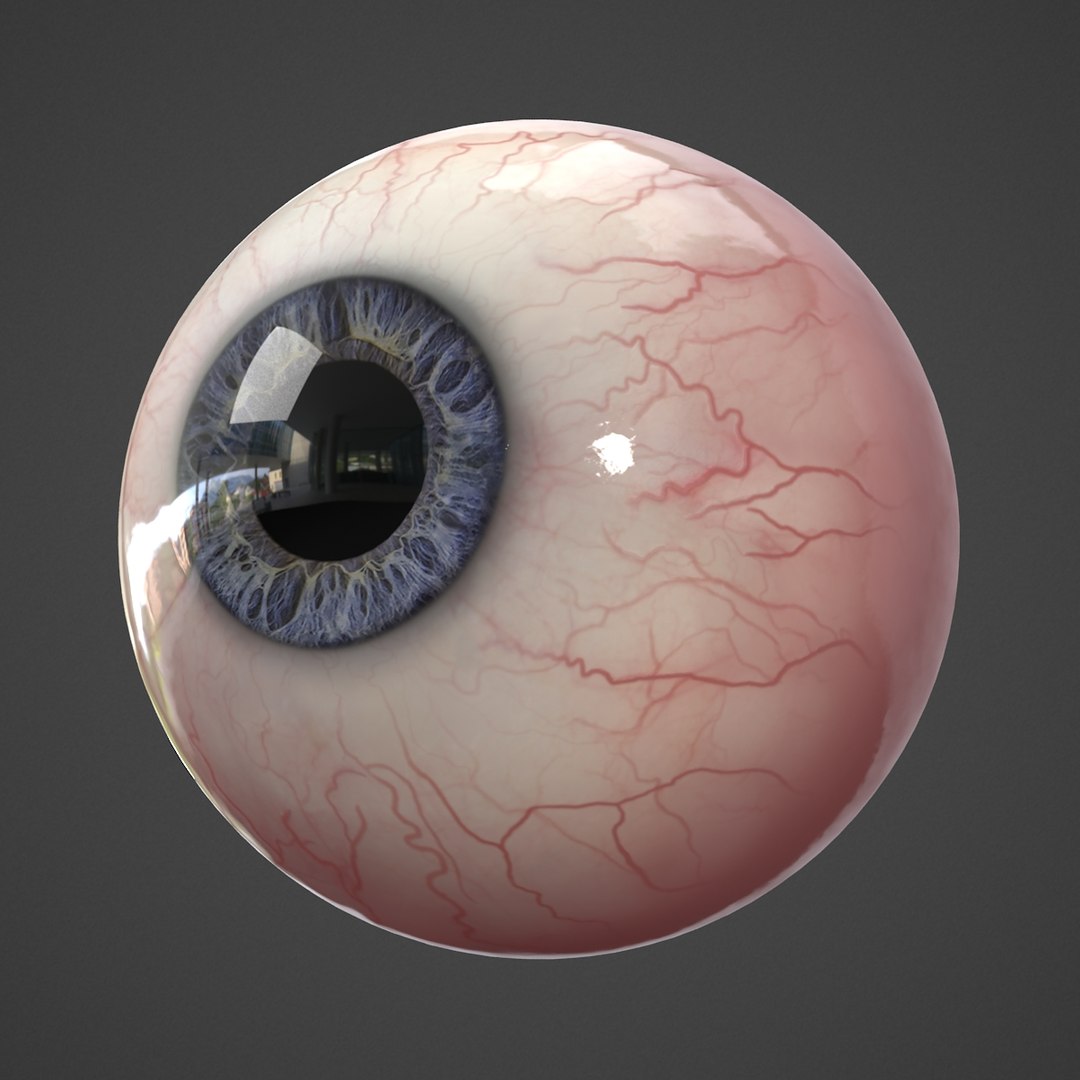 3d Model Human Eye Realistic