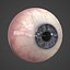 3d model human eye realistic