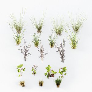 Meadow Lawn Grassland Set 001 model