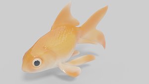 3D Gold Fish 3D model