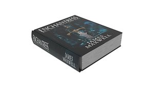3D rigged enchantress book