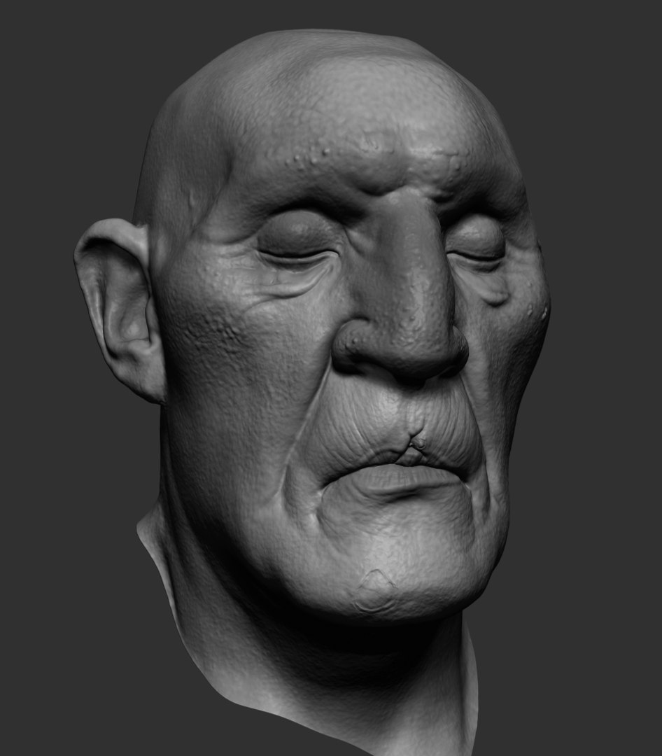 Head ztl zbrush model - TurboSquid 1393256