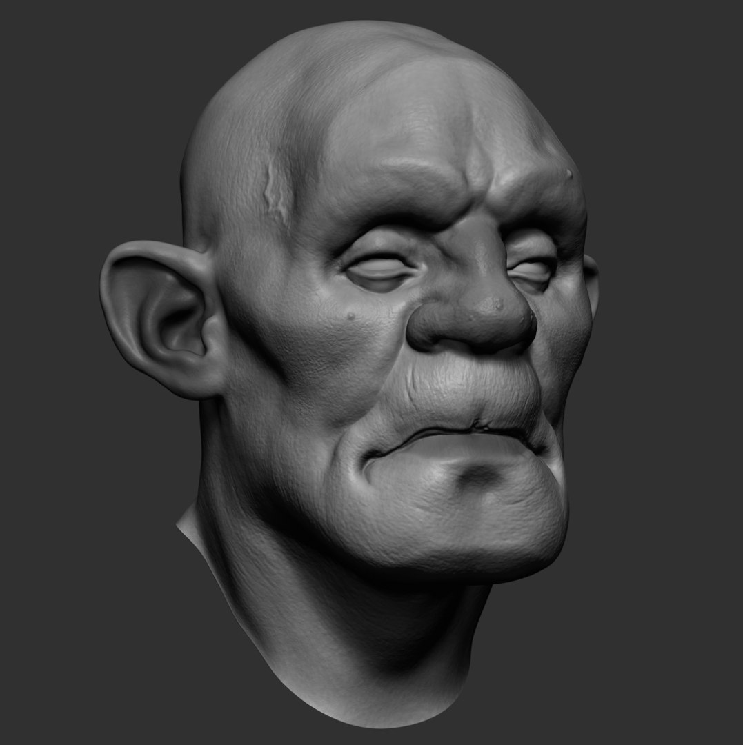 Head Ztl Zbrush Model - TurboSquid 1393256