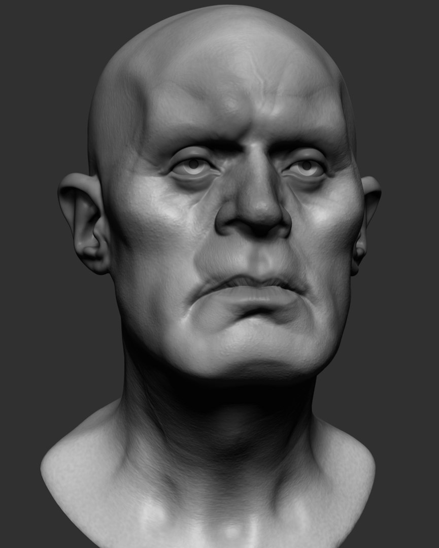 Head Ztl Zbrush Model - TurboSquid 1393256