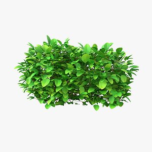 Cartoon Bush 02 model