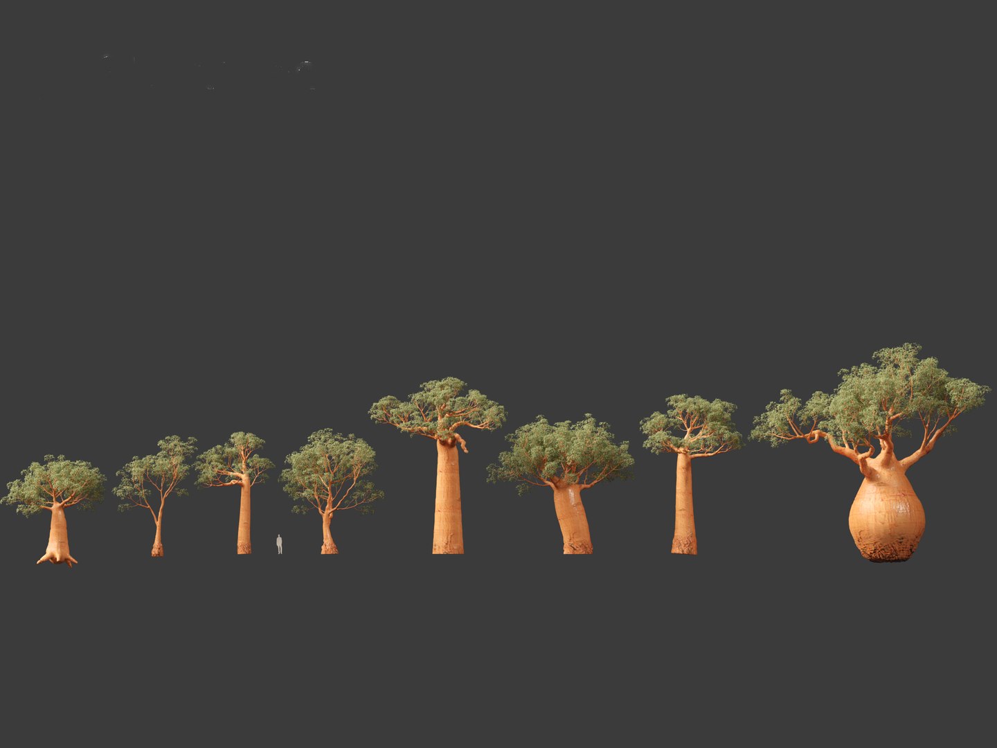 3D Adansonia digitata - Baobab 01-04 model https://p.turbosquid.com/ts-thumb/DA/itrwTy/5p/adansoniadigitata022/jpg/1699024705/1920x1080/fit_q87/651271f1eecf173b644fe3d3f61c0cb40f716f35/adansoniadigitata022.jpg