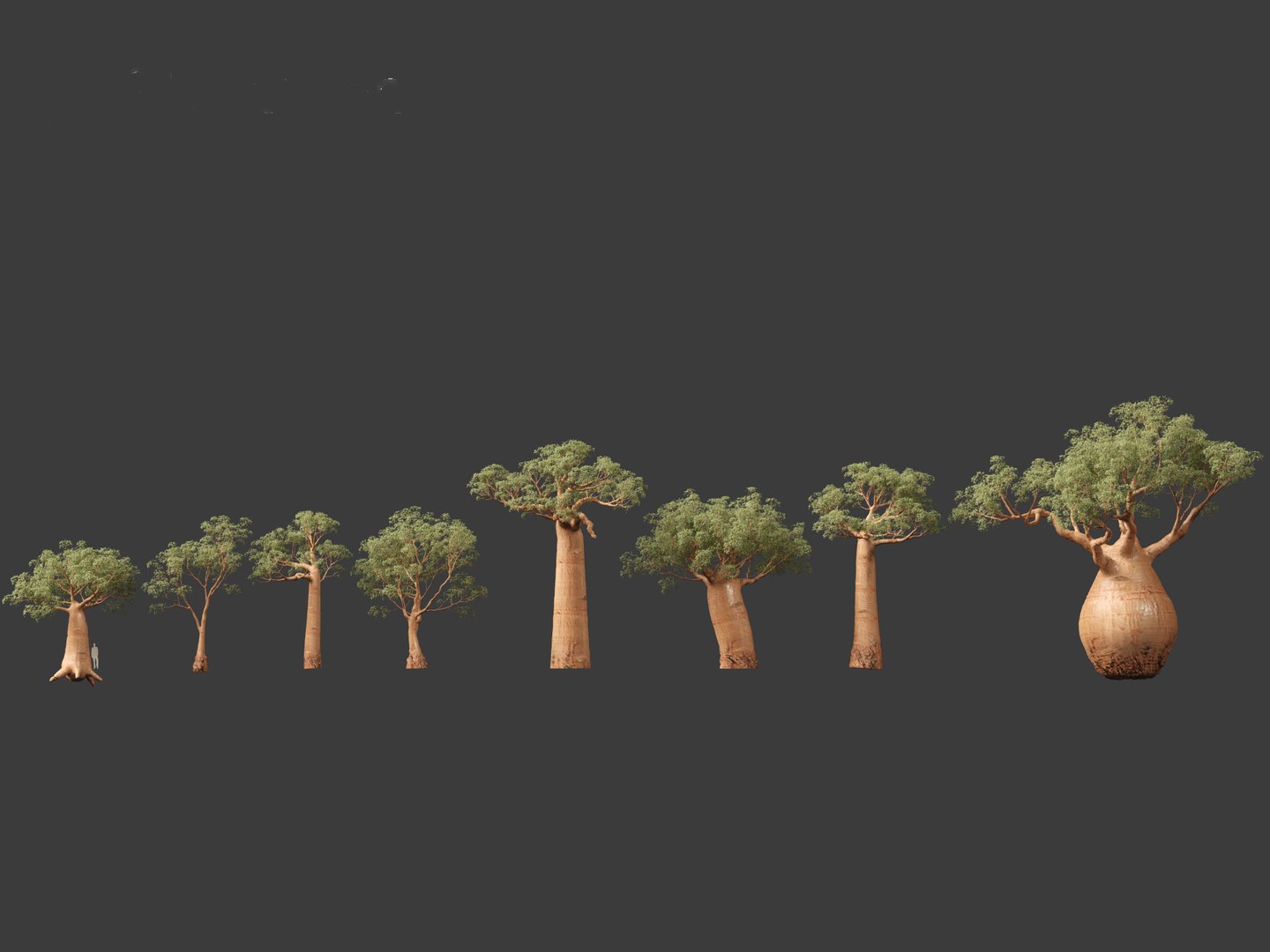 3D Adansonia digitata - Baobab 01-04 model https://p.turbosquid.com/ts-thumb/DA/itrwTy/tw/adansoniadigitata032/jpg/1699024765/1920x1080/fit_q87/b8456944f14d317fc6d912ee76ac48e61b766262/adansoniadigitata032.jpg