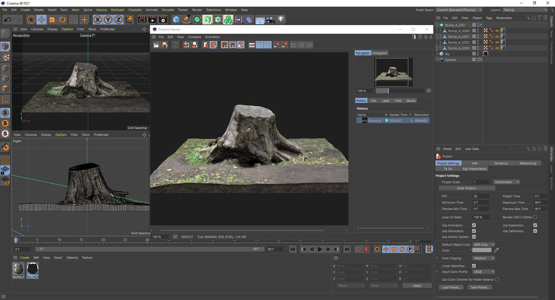Tree Stump PBR Scan Retopo Model - TurboSquid 1802141