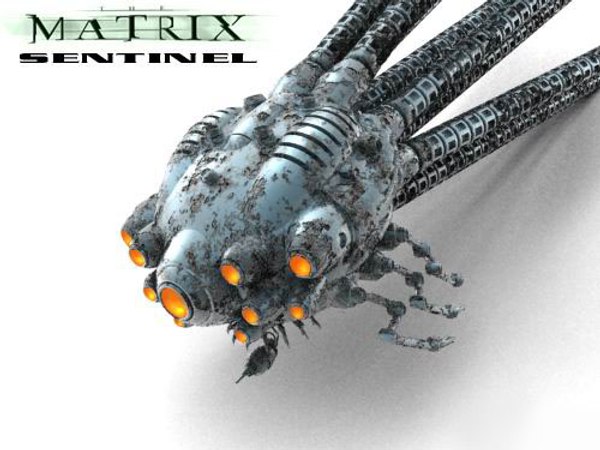 The Matrix Sentinel