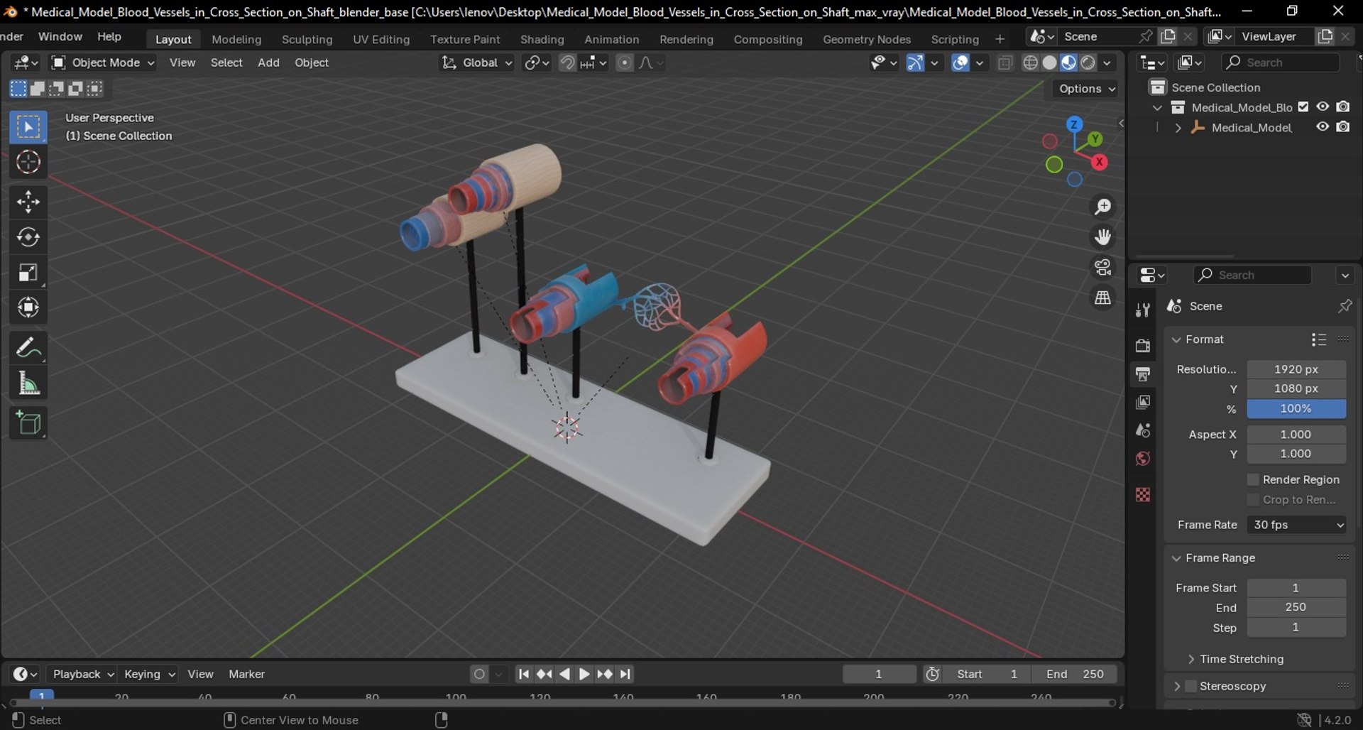 3D model Medical Model Blood Vessels in Cross Section on Shaft https://p.turbosquid.com/ts-thumb/DA/wfg89k/JY/medical_model_blood_vessels_in_cross_section_on_shaft_1010/jpg/1744299963/1920x1080/fit_q87/37293c0714d837a8781f44bc5f308c33c207bf65/medical_model_blood_vessels_in_cross_section_on_shaft_1010.jpg