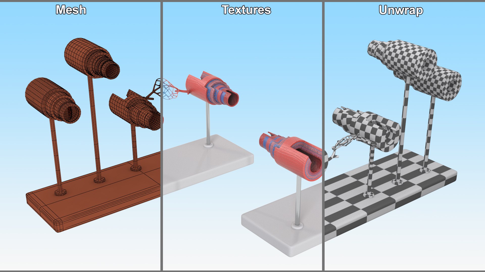 3D model Medical Model Blood Vessels in Cross Section on Shaft https://p.turbosquid.com/ts-thumb/DA/wfg89k/Ko/medical_model_blood_vessels_in_cross_section_on_shaft_011/jpg/1744299813/1920x1080/fit_q87/5aba4f02ff1931536d84b568399fbd2e49ab0cba/medical_model_blood_vessels_in_cross_section_on_shaft_011.jpg