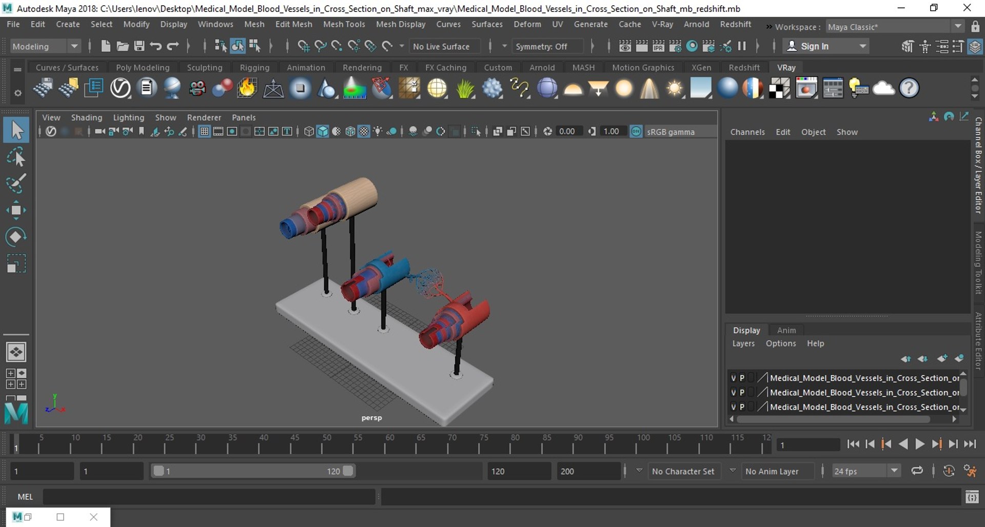 3D model Medical Model Blood Vessels in Cross Section on Shaft https://p.turbosquid.com/ts-thumb/DA/wfg89k/OU/medical_model_blood_vessels_in_cross_section_on_shaft_1011/jpg/1744299967/1920x1080/fit_q87/514978246c27c6eb56dc53a2276eb3fc97e21461/medical_model_blood_vessels_in_cross_section_on_shaft_1011.jpg
