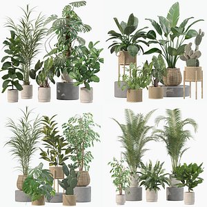 20 Photorealistic Flowers for Interiors - set 202 206 210 213 3D model