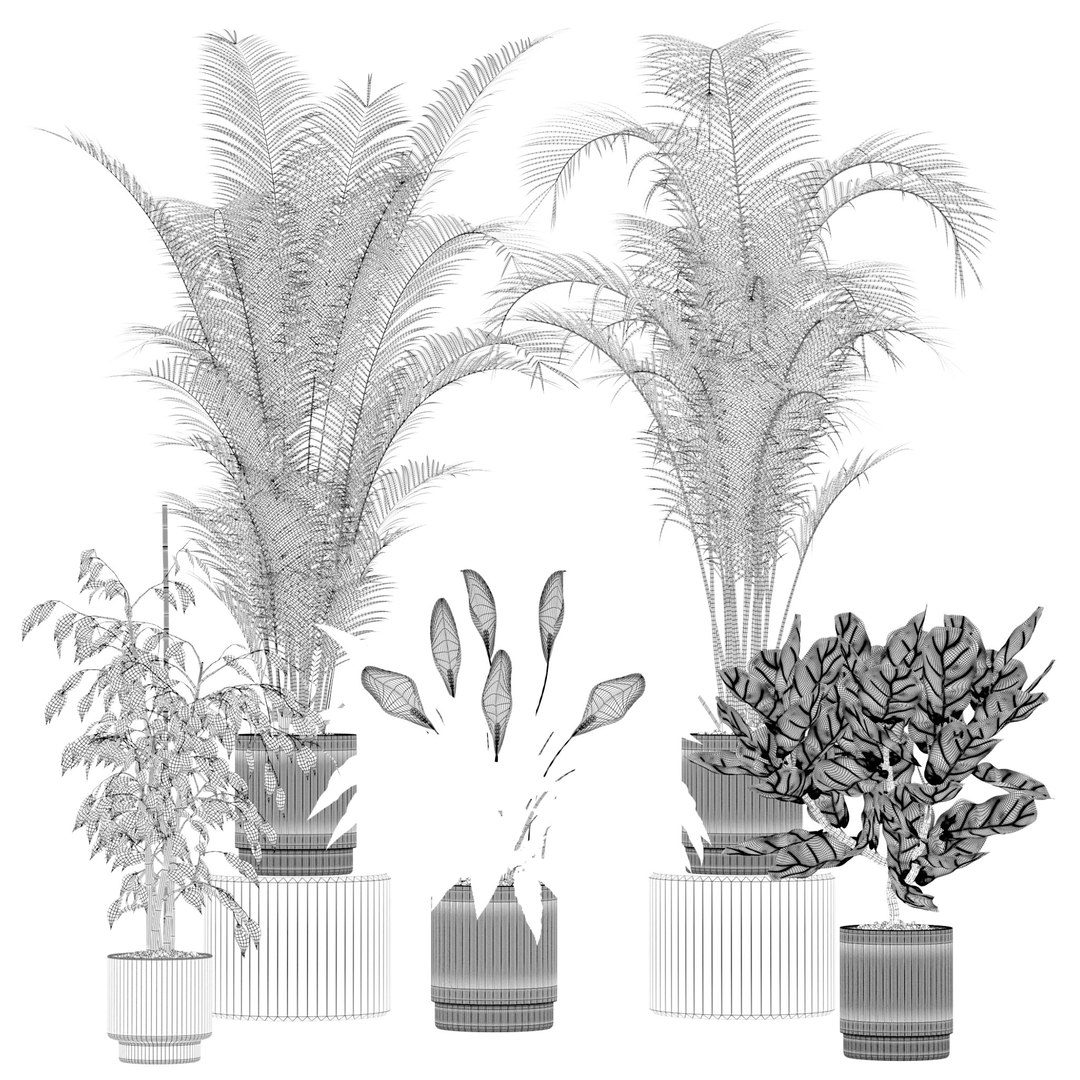 20 Photorealistic Flowers for Interiors - set 202 206 210 213 3D model https://p.turbosquid.com/ts-thumb/DA/xgO5SQ/VZ/21/jpg/1718782716/1920x1080/fit_q87/e74cf63558d5069d0f99dc22c779e45094b49b9b/21.jpg