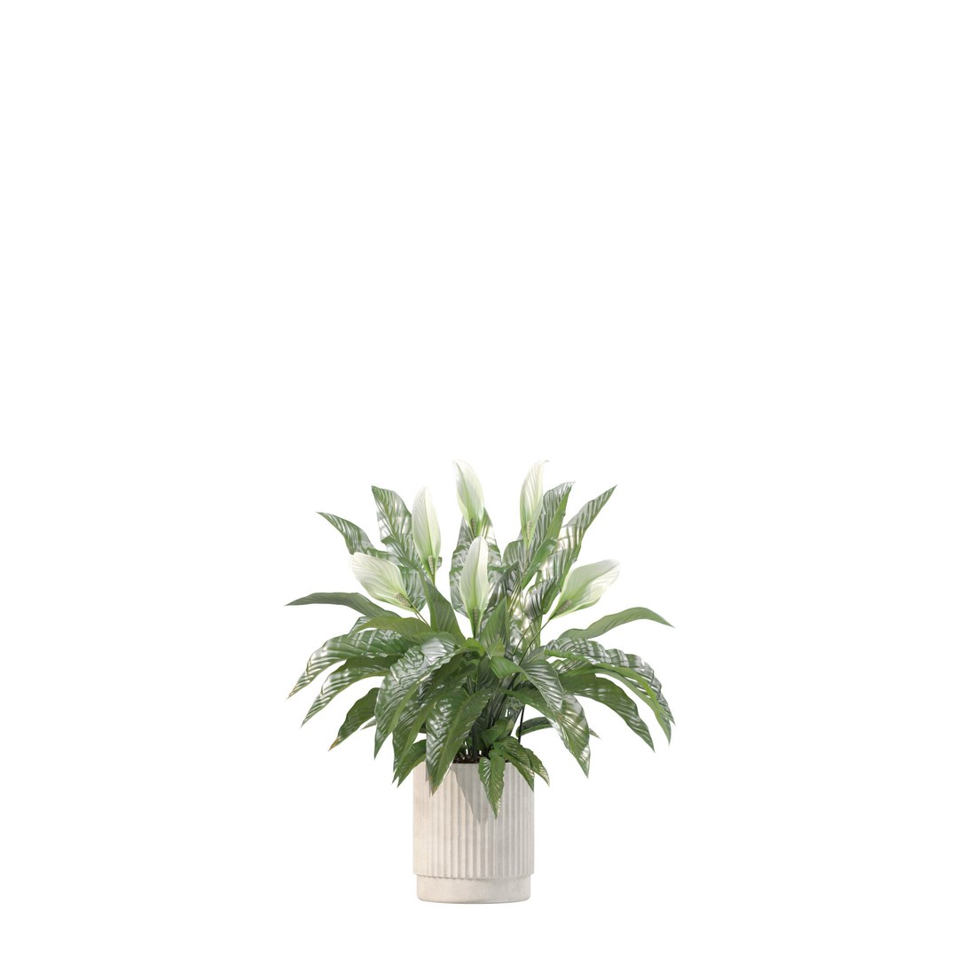 20 Photorealistic Flowers for Interiors - set 202 206 210 213 3D model https://p.turbosquid.com/ts-thumb/DA/xgO5SQ/fn/1/jpg/1718782690/1920x1080/fit_q87/3fdde5fd0526cb08384e072162ab0284a86f45be/1.jpg