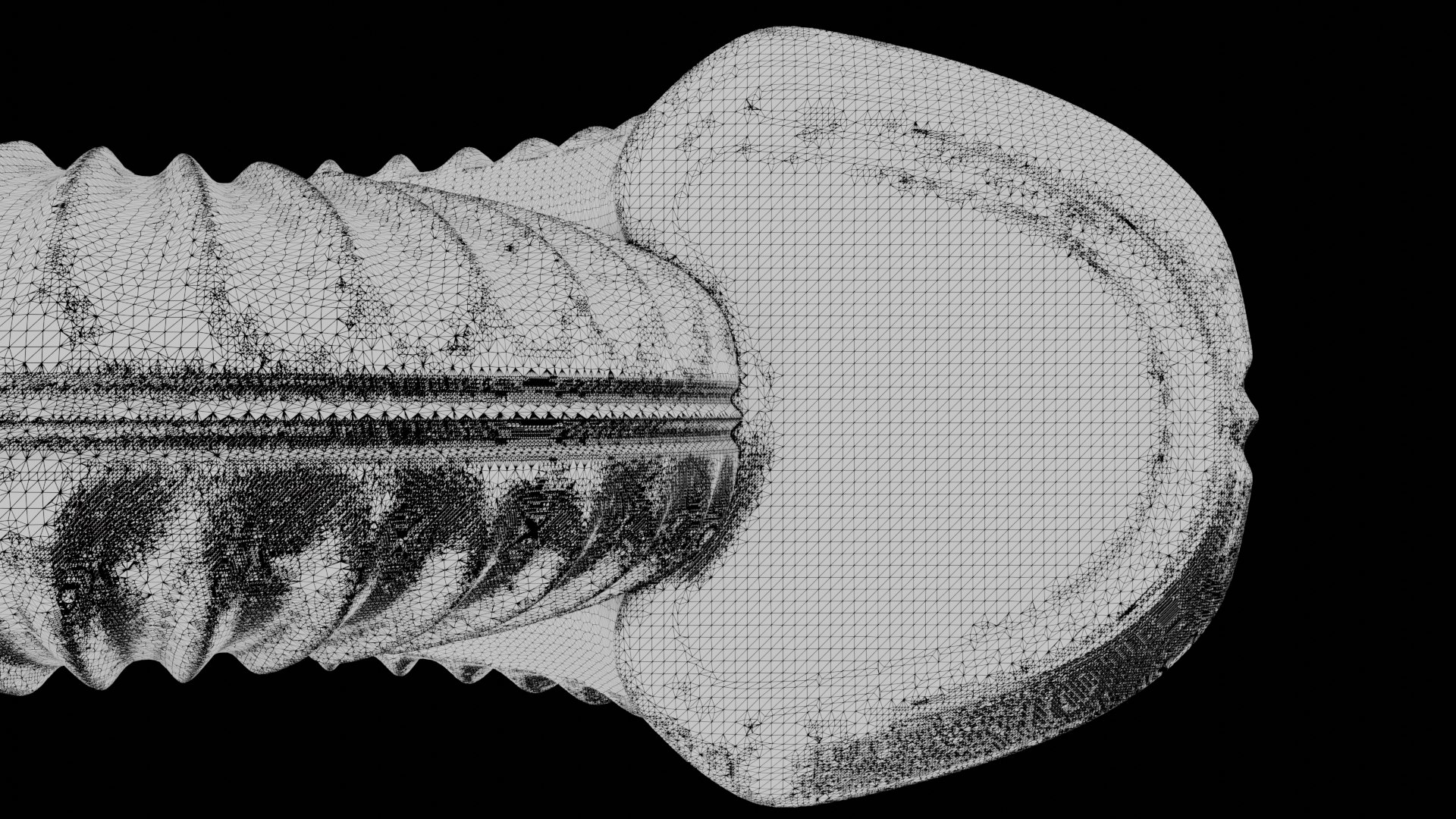 3D Sub Evolute Ammonoid Shell With Ventral Furrow - TurboSquid 2290975