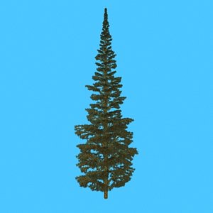 pinetree02