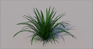 fern grass 3D