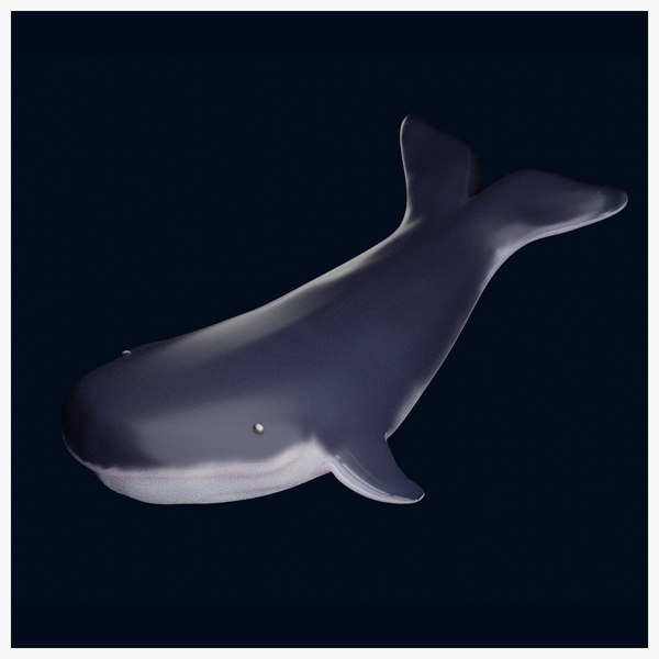 Modello 3D Modello 3D della balena - TurboSquid 2017957
