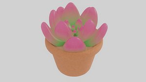 Pink and Green Succulent plant in the Clay Pot