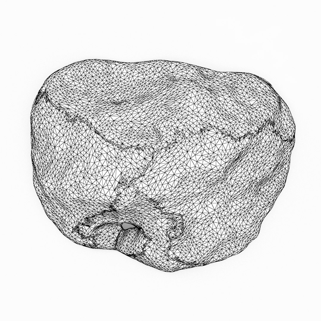 3D seashell sea shell https://p.turbosquid.com/ts-thumb/DB/B5I25Z/1yyX1IoN/oystershell01_r1w/jpg/1499896664/1920x1080/fit_q87/13676a714c3ac0c2d442428bdc43aaf11b5d1a6a/oystershell01_r1w.jpg