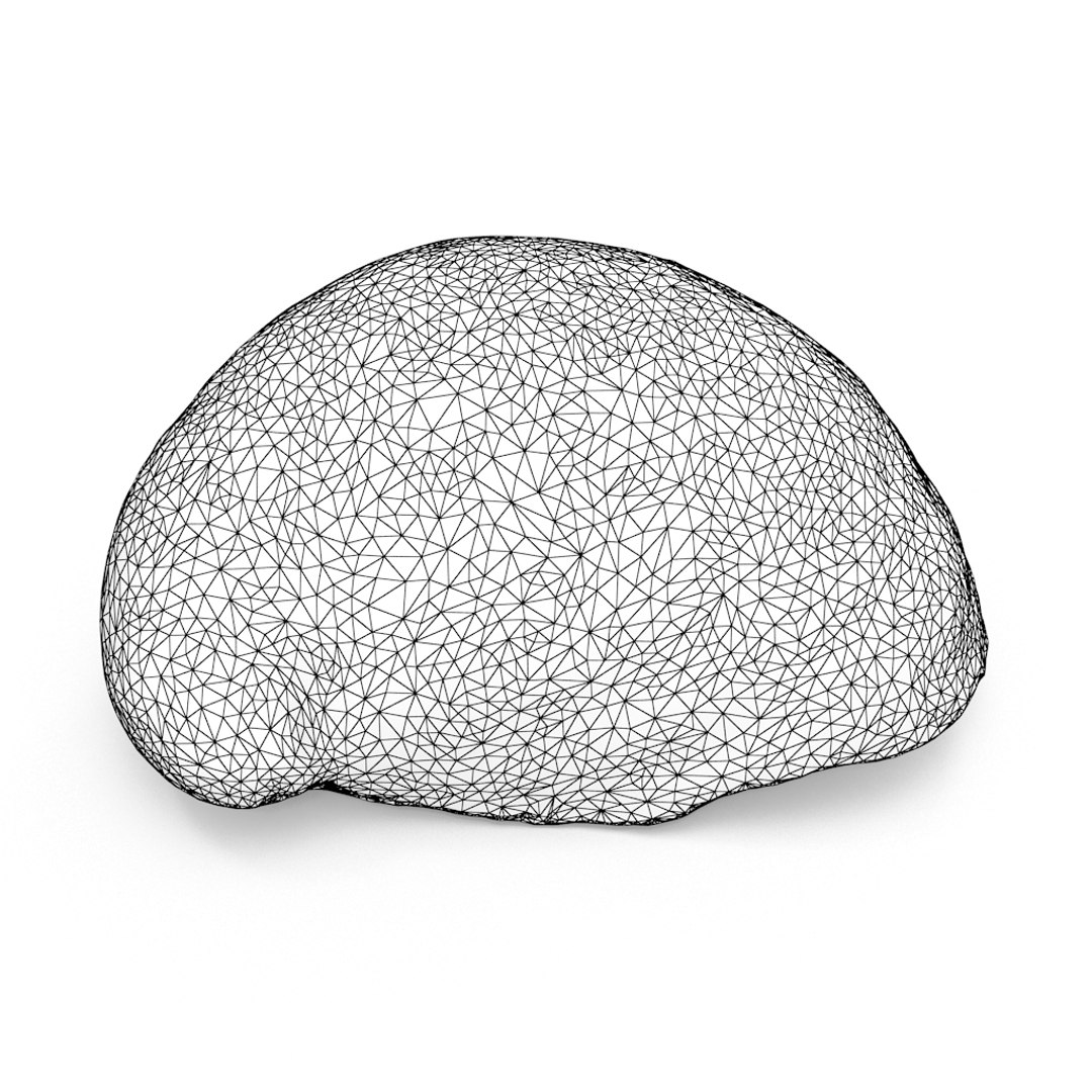 3D seashell sea shell https://p.turbosquid.com/ts-thumb/DB/B5I25Z/2yDv4wTc/limpetshell01_r1w/jpg/1499896664/1920x1080/fit_q87/5e3526ca5e9a41f172a824f95820081e9e367483/limpetshell01_r1w.jpg