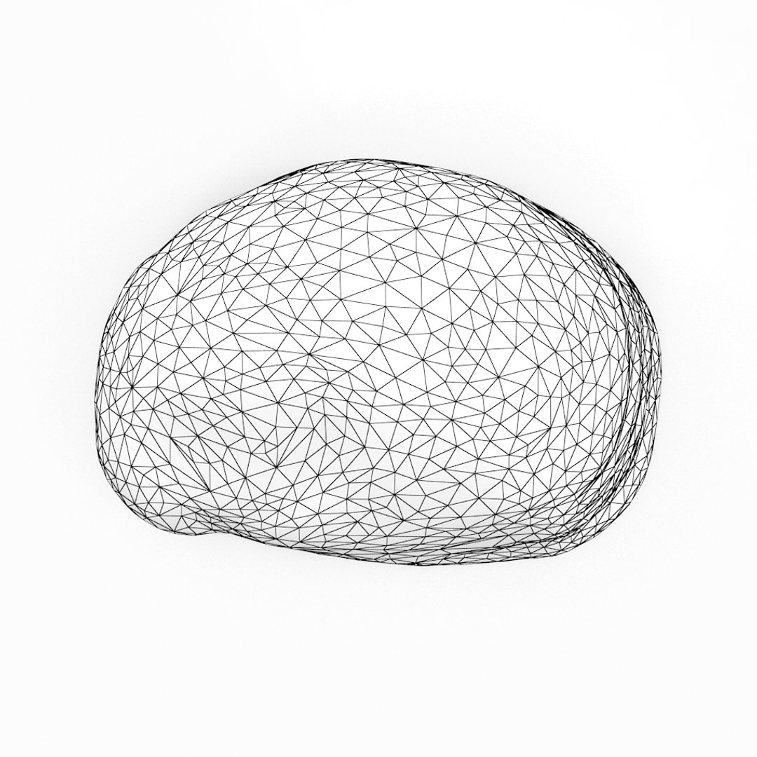 3D seashell sea shell https://p.turbosquid.com/ts-thumb/DB/B5I25Z/7H6u6cDn/knuckleshell_r1w/jpg/1499896664/1920x1080/fit_q87/9133323bd72899b00a5ebe16f1f8ebfcdec63fb3/knuckleshell_r1w.jpg