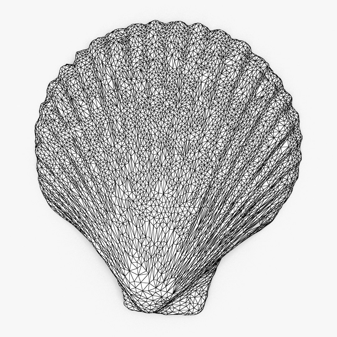 3D seashell sea shell https://p.turbosquid.com/ts-thumb/DB/B5I25Z/8Clw8Qw4/scallop_r1w/jpg/1499896664/1920x1080/fit_q87/3a3c40d8fefe8813e4fdd707da0cc1f456ef99f7/scallop_r1w.jpg
