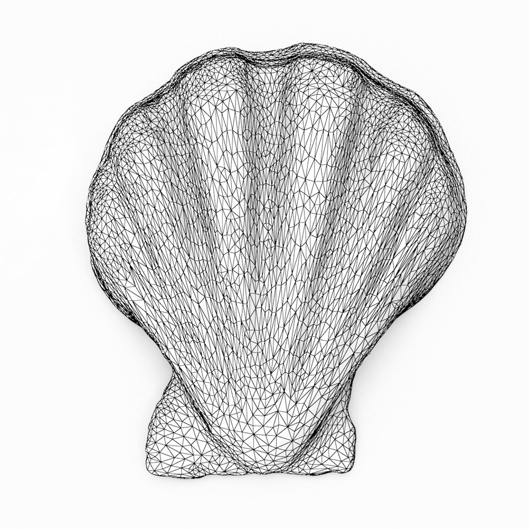3D seashell sea shell https://p.turbosquid.com/ts-thumb/DB/B5I25Z/BE5SZwqv/clamshell_r1w/jpg/1499896662/1920x1080/fit_q87/36e129fcece8dd052e8ee0f4c33dd22b7b2a2f14/clamshell_r1w.jpg